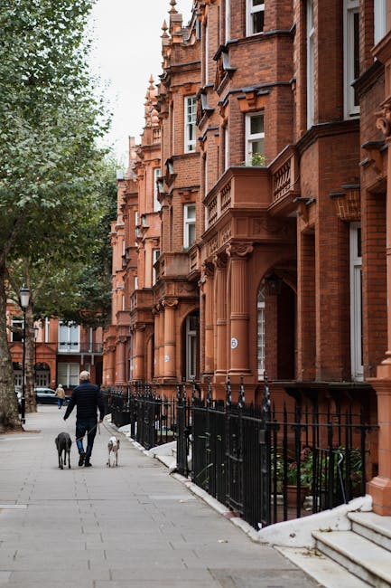 A person dressed in dark clothing walking along a residential street in Kensington with two dogs, one black and one white, on a pavement lined with black iron fencing. The street features a row of red-brick Victorian-style buildings with ornate architectural details such as decorative columns, window bays, and small balconies. Nearby, a stack of cardboard boxes and a moving blanket are visible, suggesting a home relocation or furniture transport. The scene takes place during daylight hours, with soft natural lighting illuminating the surroundings. This setting illustrates a typical street where professional removals or house moving services, like those offered by Movers Kensington, might be involved in loading or unloading household items in preparation for or during a house move.