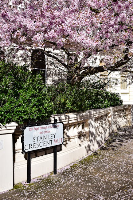 A residential street featuring a decorative stone wall with a black and white street sign reading 'Stanley Crescent W.11' in red and black text, positioned in front of well-maintained green shrubs. Above the wall, a large tree with abundant pink blossoms extends its branches across the scene, with fallen petals scattered on the pavement below. The area appears calm and orderly, consistent with a setting suitable for house removals or home relocation services, as offered by Movers Kensington. The lighting suggests daylight, highlighting the natural colors of the blossoms and foliage, and indicating an outdoor environment typical for loading and transportation operations related to furniture transport and packing during moving processes.